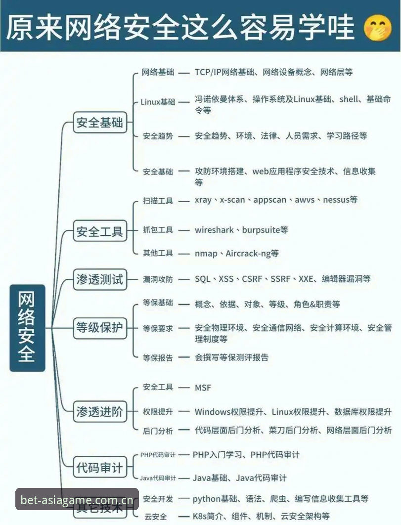 Bet亚洲访问通道安全性深度解析：技术架构与用户体验测评